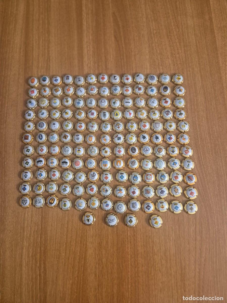 Coleccionismo de cava: LOTE 140 PLACAS CHAPAS PUEBLOS DE TARRAGONA, DIARIO DE TARRAGONA DIFERENTES.