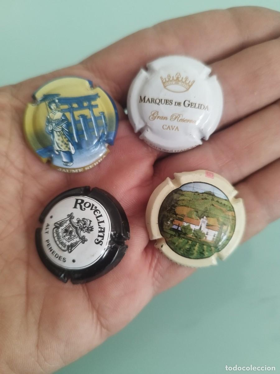 Coleccionismo de cava: Lote de 4 chapas de cava.