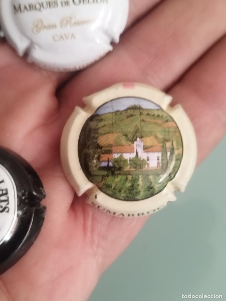 Coleccionismo de cava: Lote de 4 chapas de cava. - Foto 5