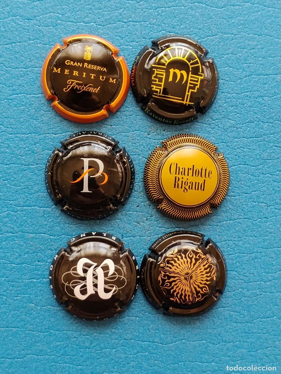 Coleccionismo de cava: LOTE DE 6 PLACAS DE CAVA