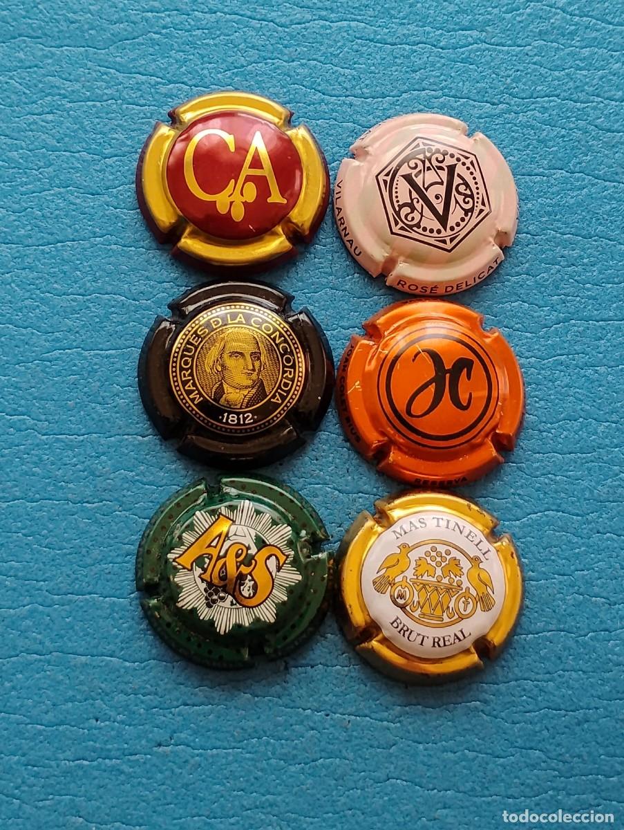 Coleccionismo de cava: LOTE DE 6 PLACAS DE CAVA
