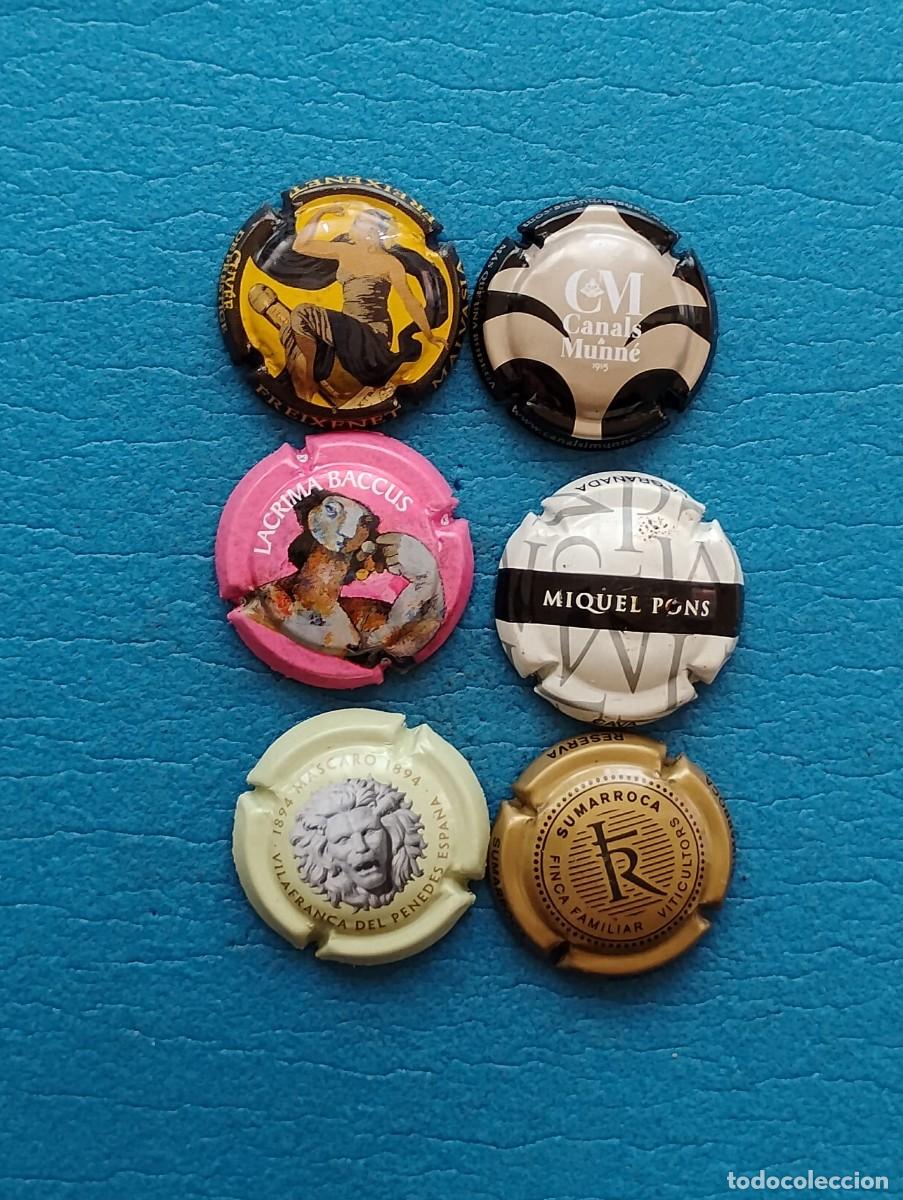 Coleccionismo de cava: LOTE DE 6 PLACAS DE CAVA