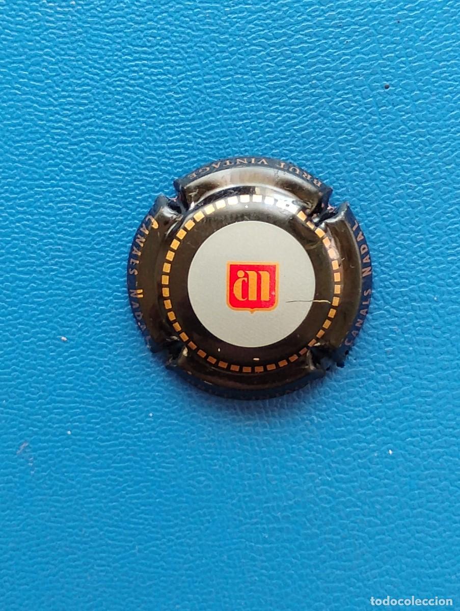 Coleccionismo de cava: PLACA DE CAVA CANALS NADAL - X-ECNL031317