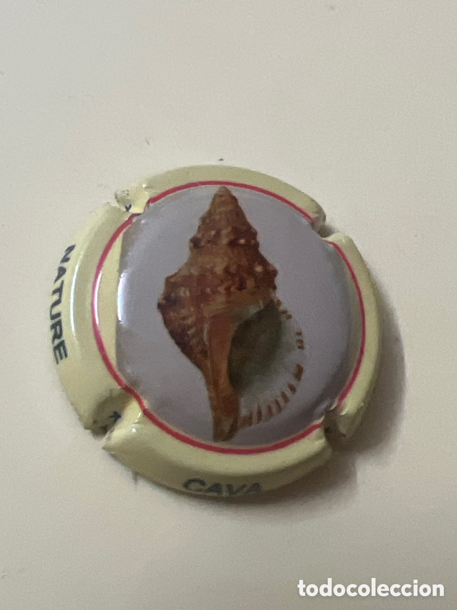 Coleccionismo de cava: T4/X111/A3. PLACA DE CAVA - MERVILLA