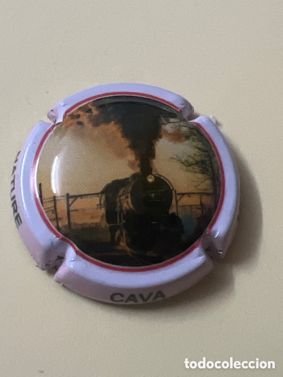 Coleccionismo de cava: T4/X111/A5. PLACA DE CAVA
