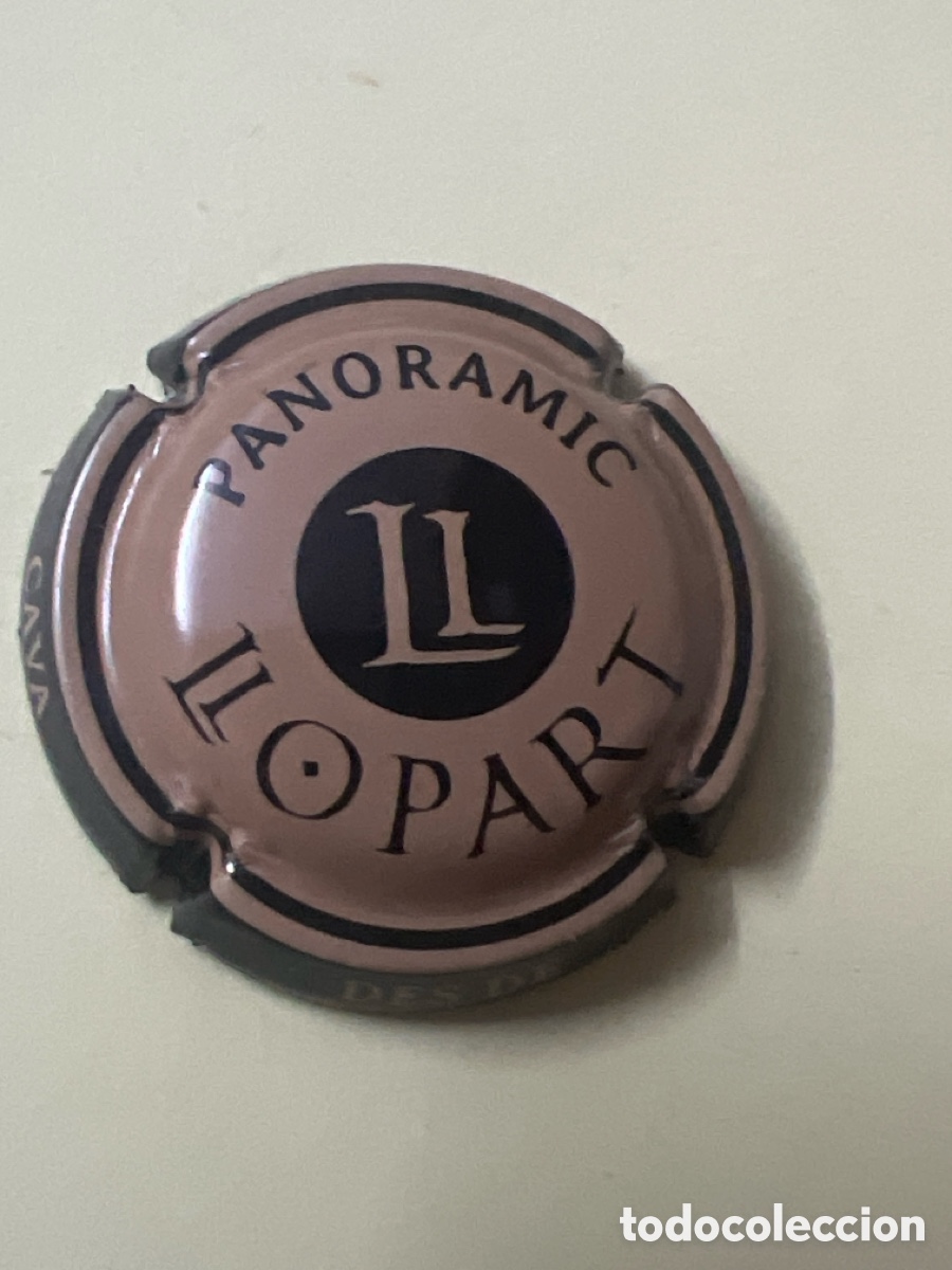 Coleccionismo de cava: T4/X111/A6. PLACA DE CAVA