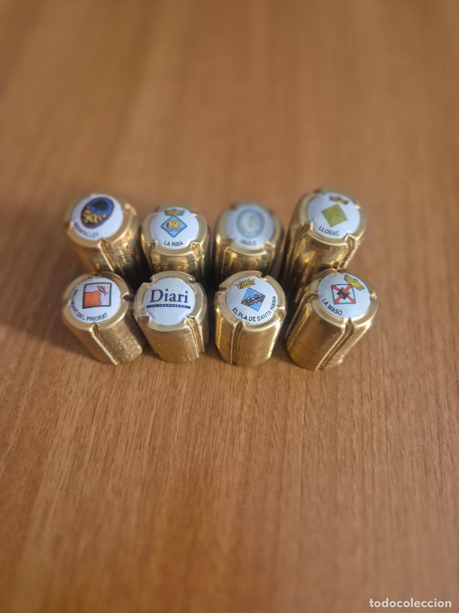 Coleccionismo de cava: CHAPAS PLACAS DIARI TARRAGONA MUNICIPIS SUELTAS.