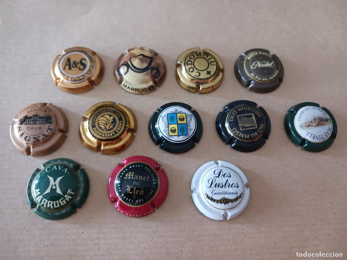 Coleccionismo de cava: 12 placas diferentes de cava