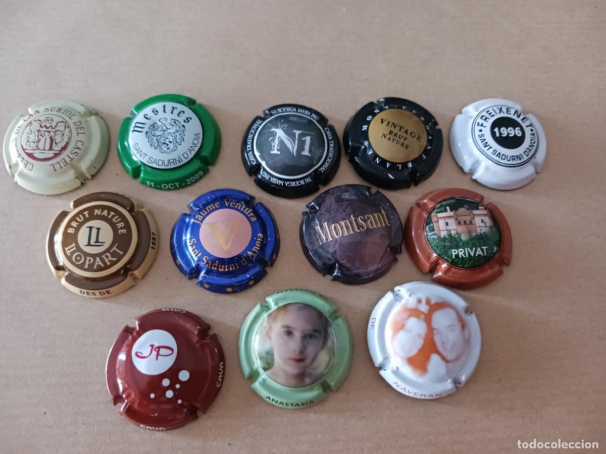 Coleccionismo de cava: 12 placas diferentes de cava