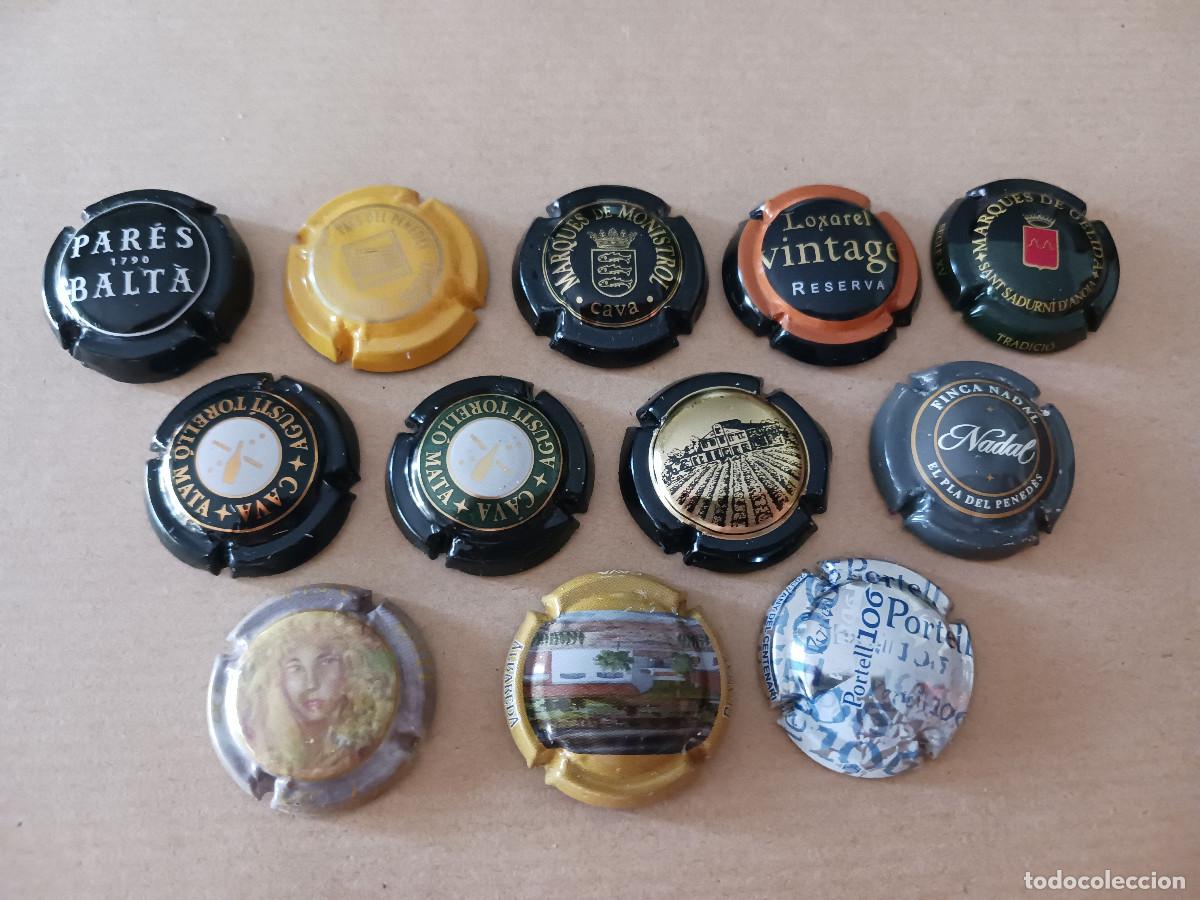 Coleccionismo de cava: 12 placas diferentes de cava