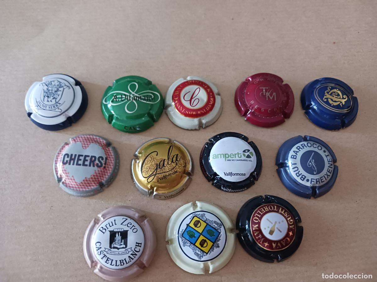 Colecionismo de cava: 12 placas diferentes de cava