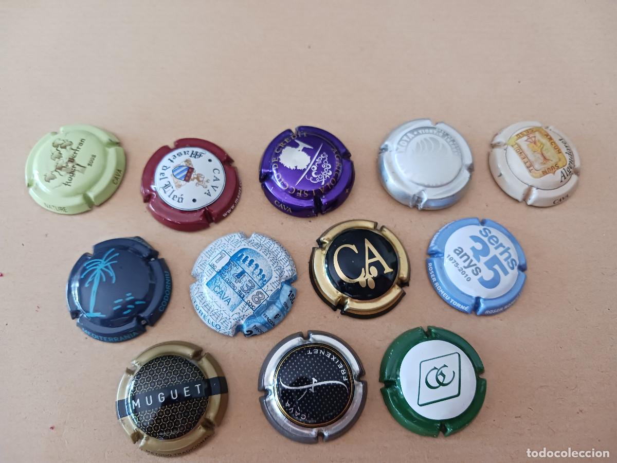 Coleccionismo de cava: 12 placas diferentes de cava