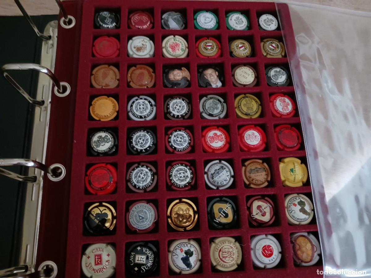 Coleccionismo de cava: 48 placas de cava de mi coleccion, muchas dificiles, segura viudas, la primera de sumarroca