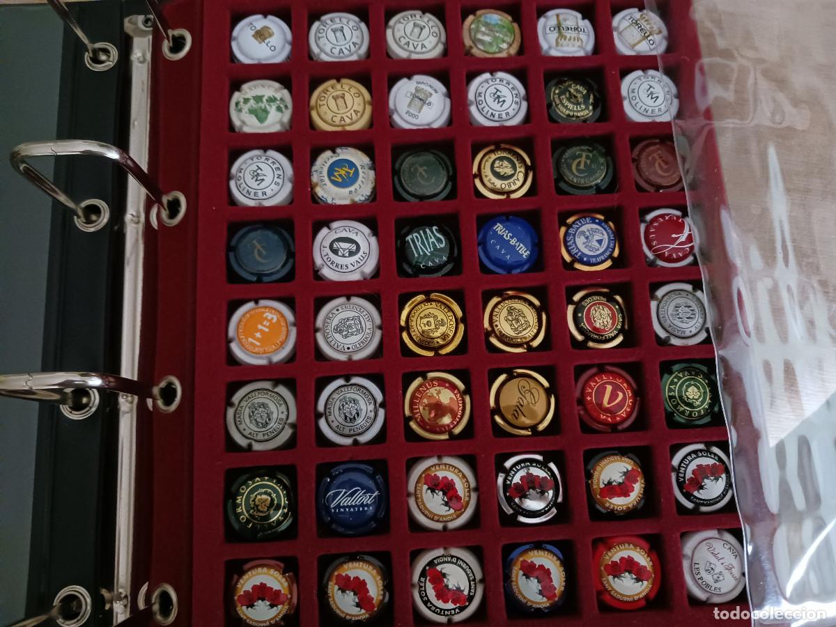Coleccionismo de cava: 48 placas de cava de mi coleccion, muchas dificiles, torello, vallformosa, ventura soler