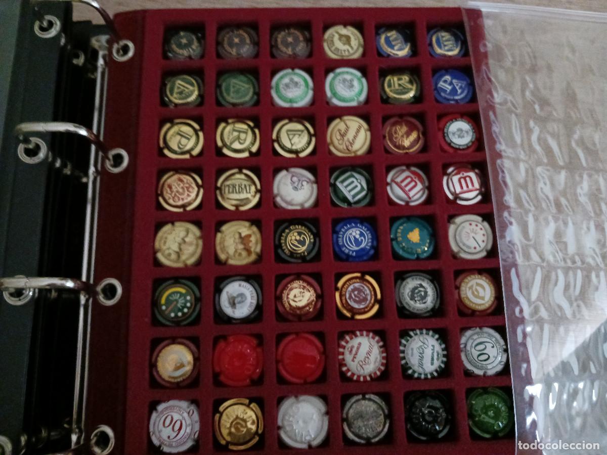 Coleccionismo de cava: 48 placas de cava de mi coleccion, muchas dificiles, parxet, pinord, pere ventura..