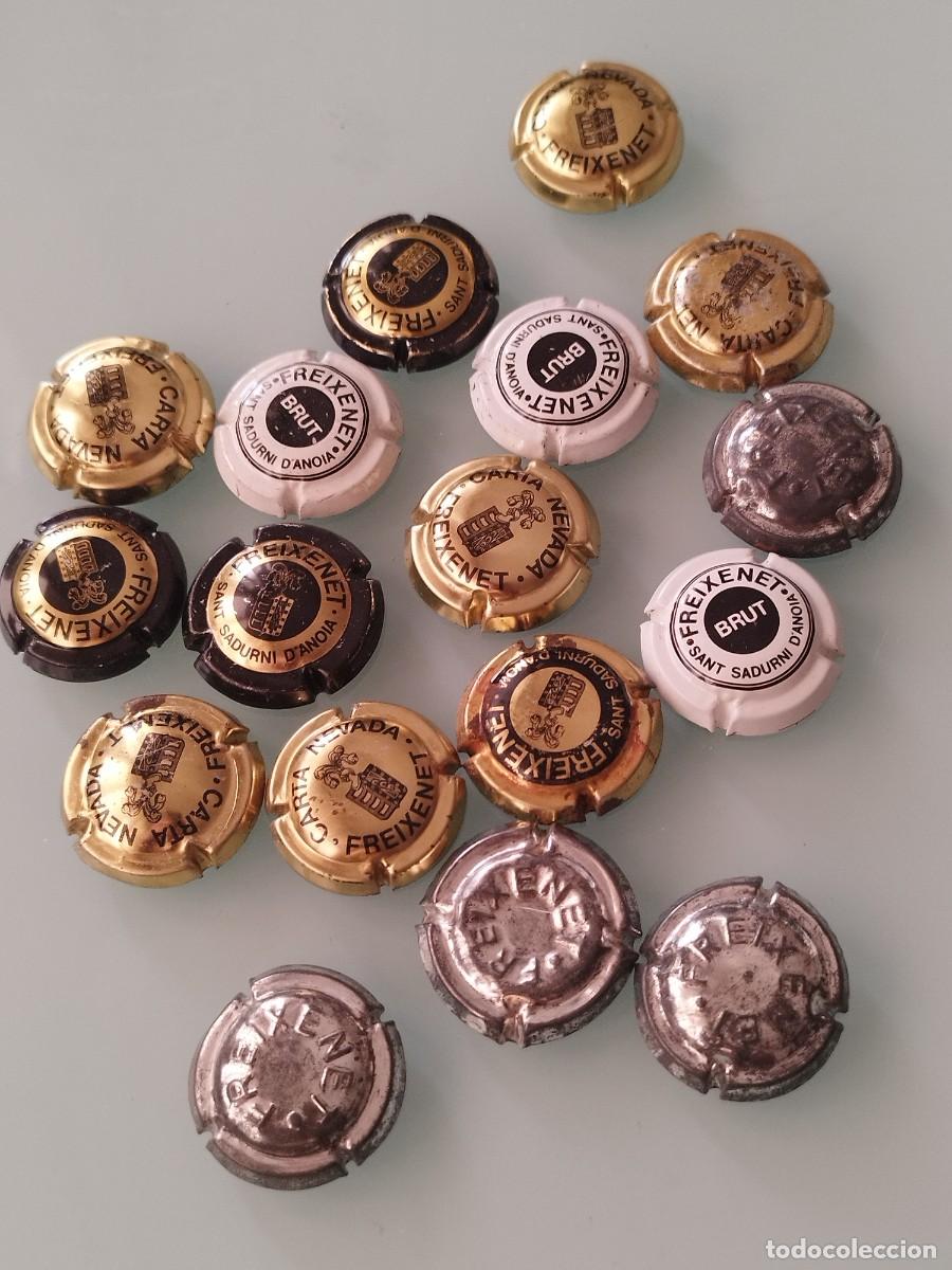 Coleccionismo de cava: Colecci&oacute;n de 17 chapas o placas de cava Freixenet.