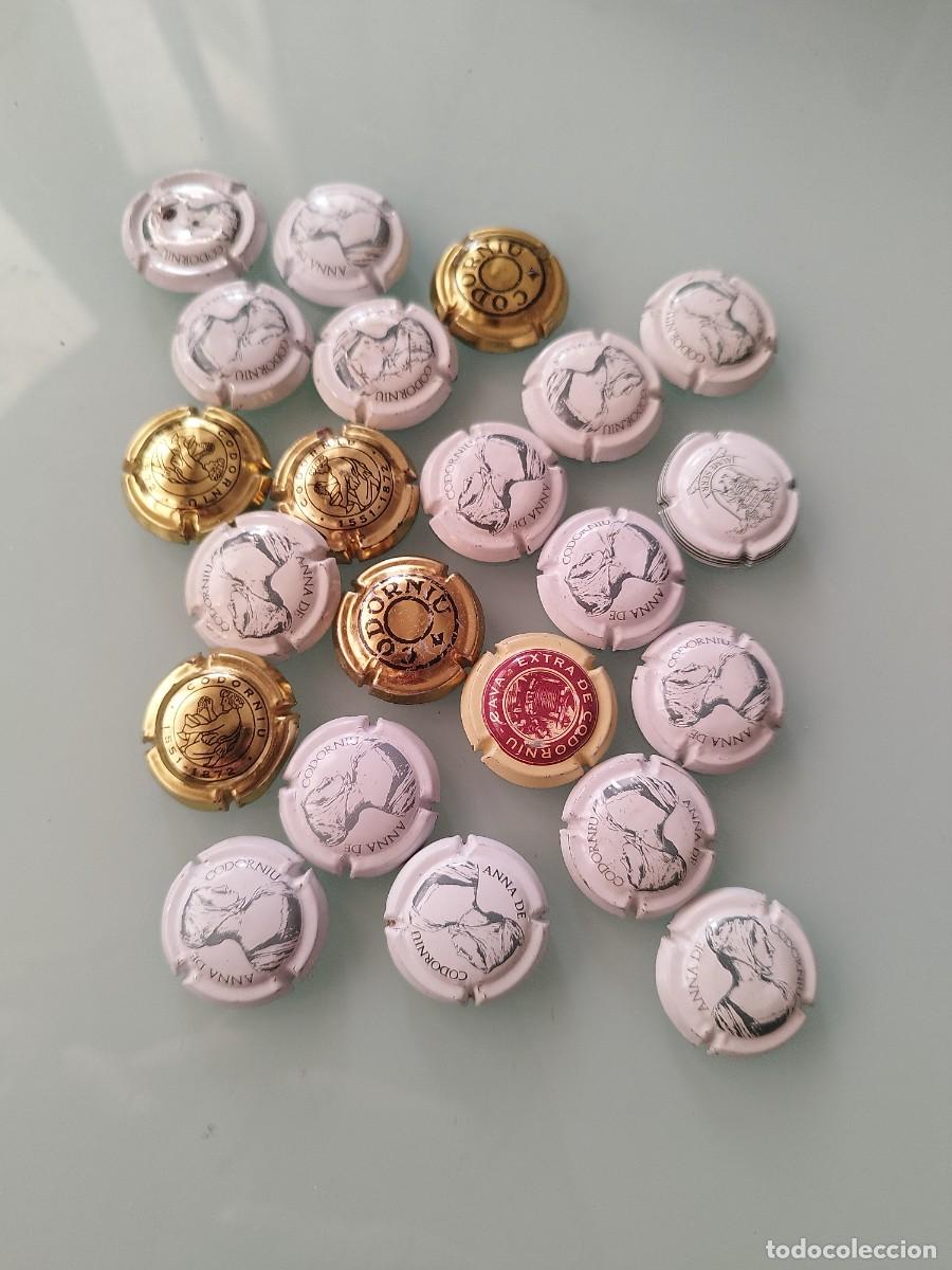 Coleccionismo de cava: Colecci&oacute;n de 22 chapas o placas de cava Codorniu..
