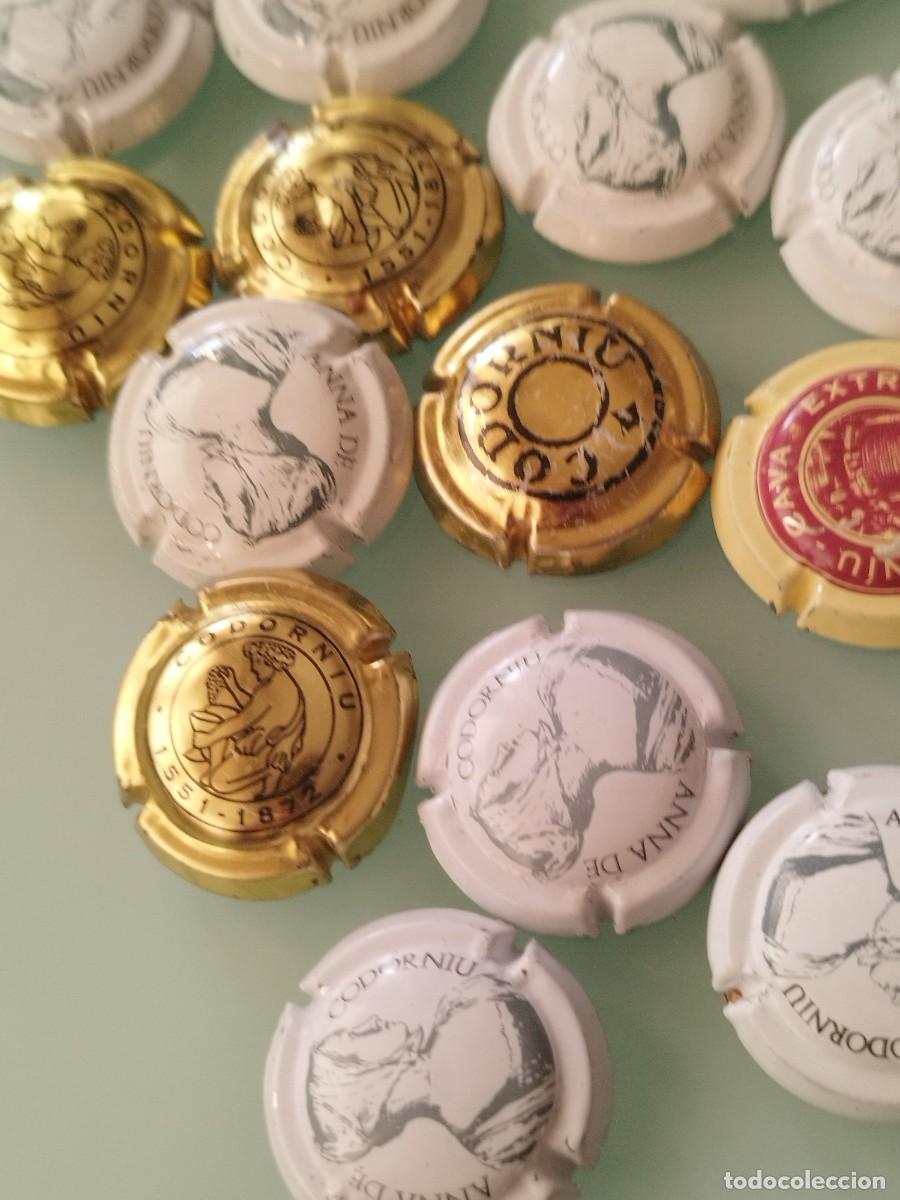 Coleccionismo de cava: Colecci&oacute;n de 22 chapas o placas de cava Codorniu.. - Foto 2