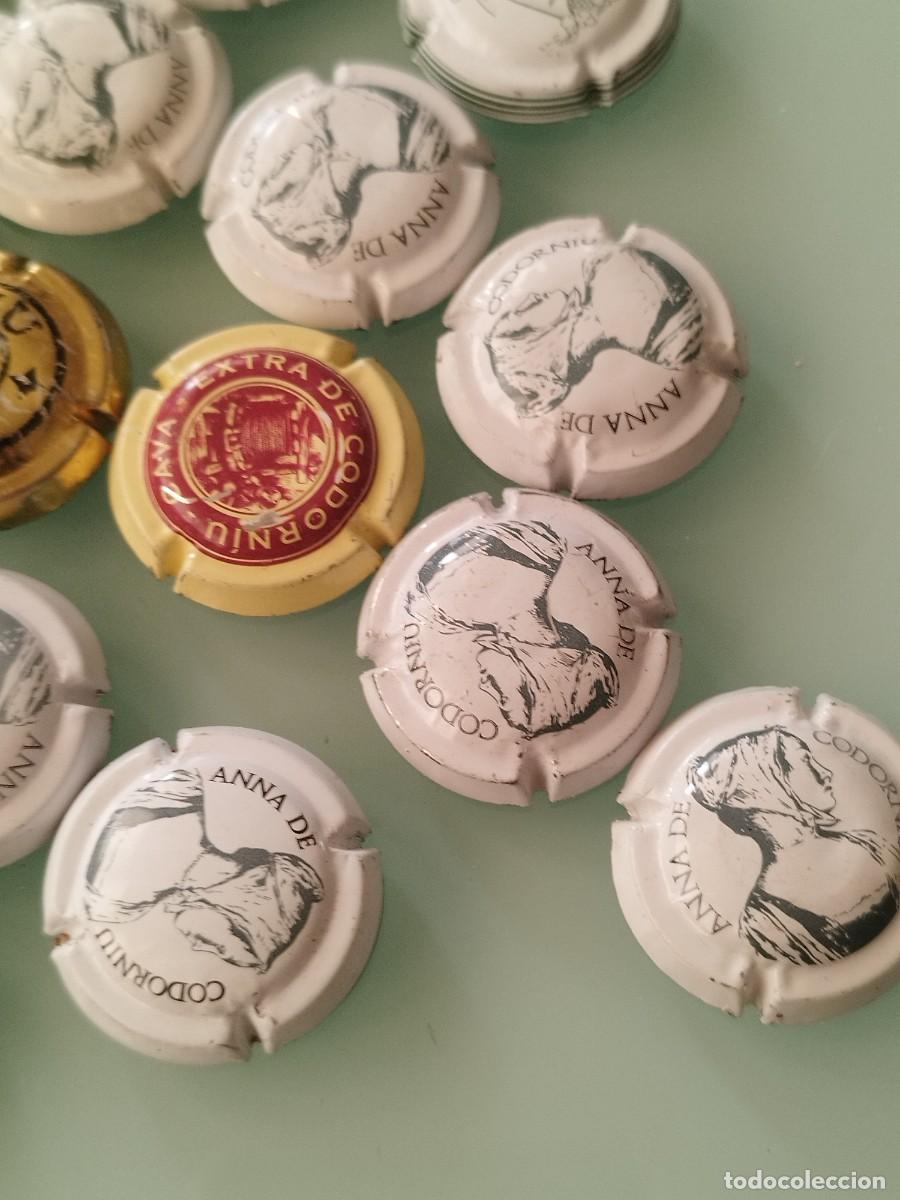 Coleccionismo de cava: Colecci&oacute;n de 22 chapas o placas de cava Codorniu.. - Foto 3
