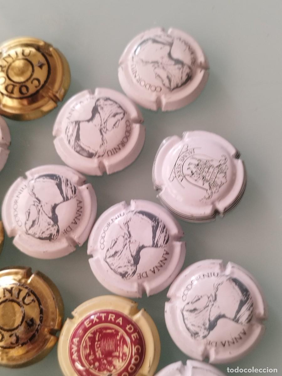 Coleccionismo de cava: Colecci&oacute;n de 22 chapas o placas de cava Codorniu.. - Foto 4