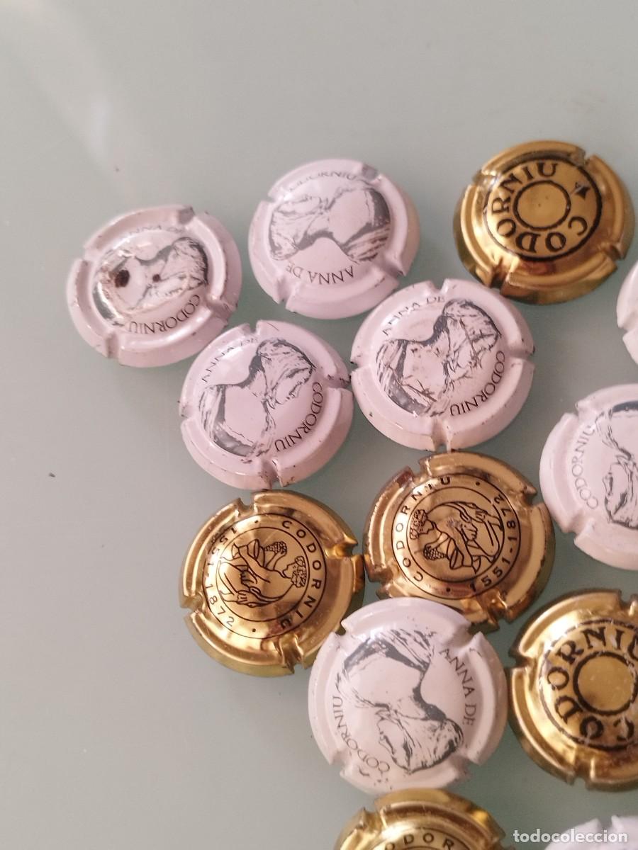 Coleccionismo de cava: Colecci&oacute;n de 22 chapas o placas de cava Codorniu.. - Foto 5