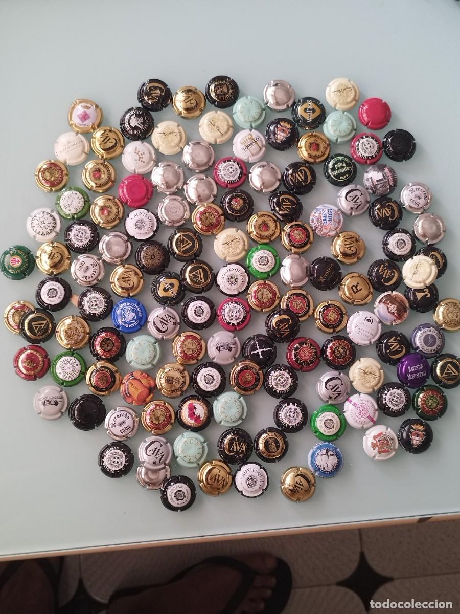 Coleccionismo de cava: Gran lote de 130 chapas o placas de cava, variadas.