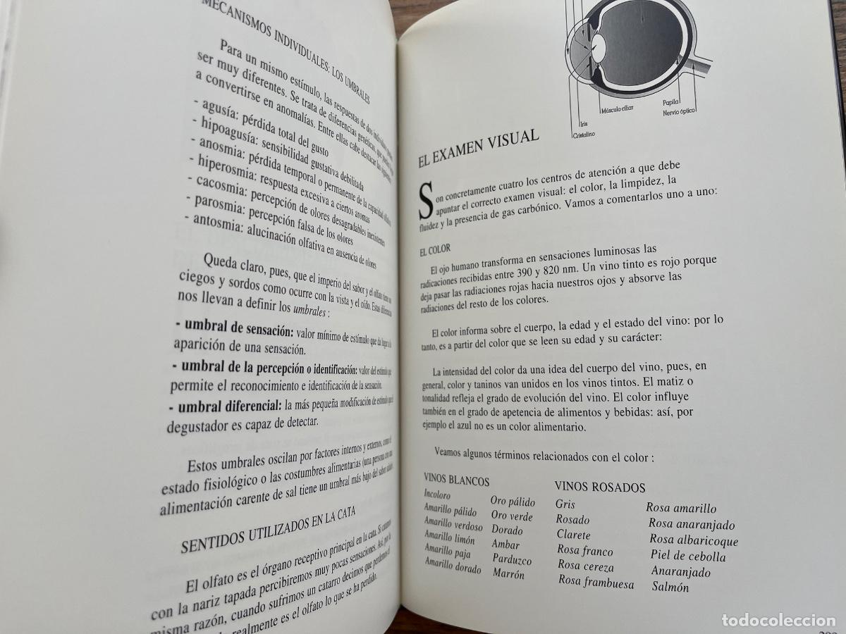 Coleccionismo de cava: EL CAVA Y SUS ELABORADORES - Foto 5
