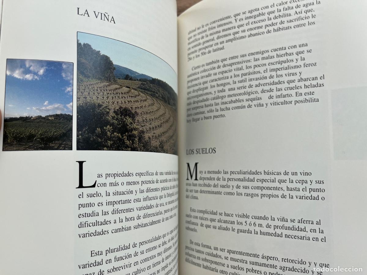 Coleccionismo de cava: EL CAVA Y SUS ELABORADORES - Foto 9