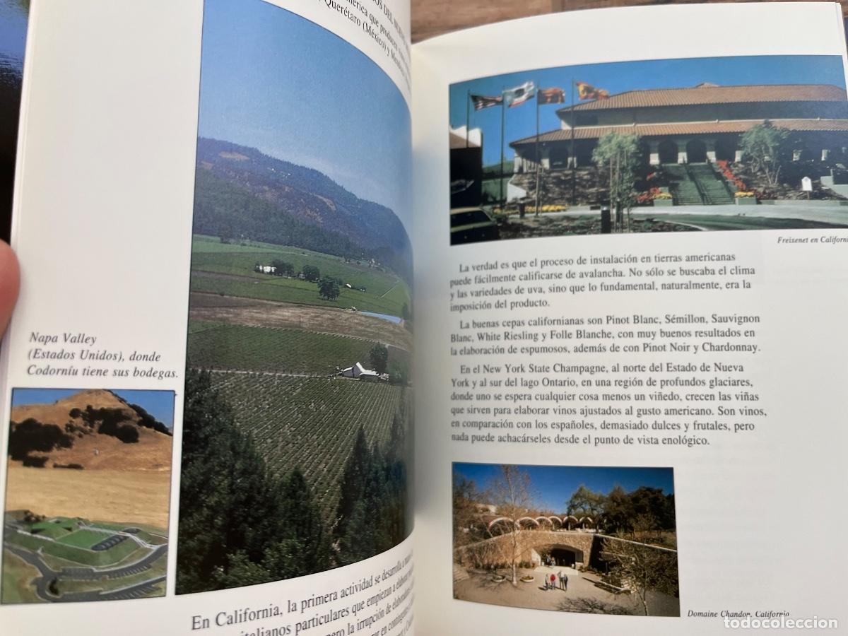 Coleccionismo de cava: EL CAVA Y SUS ELABORADORES - Foto 13