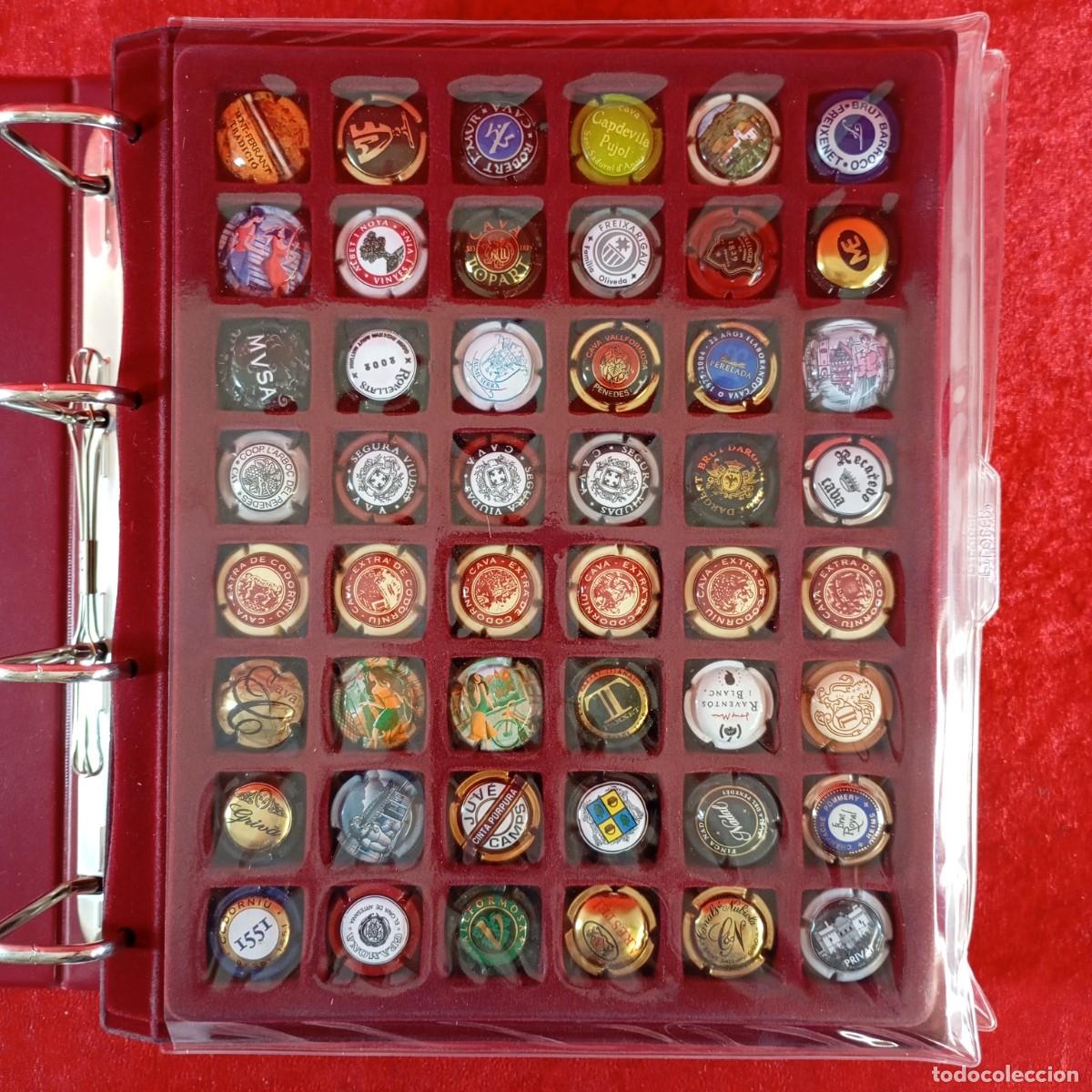 Coleccionismo de cava: COLECCION DE 288 PLACAS DE CAVA - CHAPAS DE CAVA - COLECCION MUY VARIADA - RAR&Iacute;SIMAS - LOTE / 940