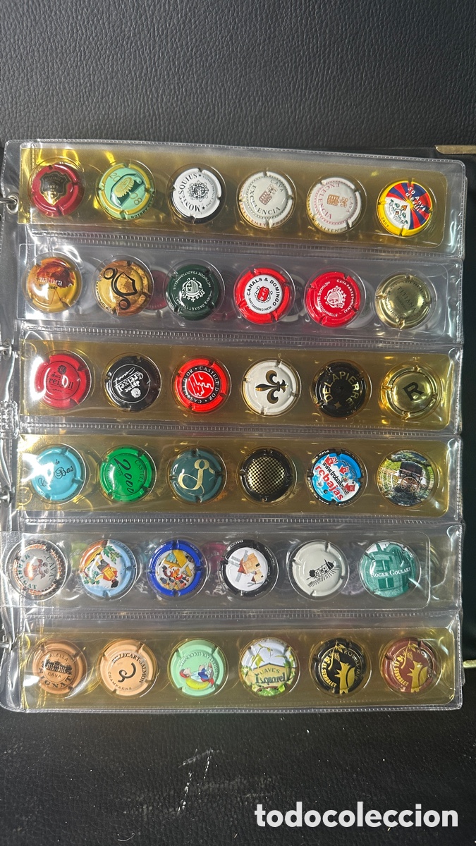 Coleccionismo de cava: COLECCION DE PLACAS CHAPAS DE CAVA - Foto 2