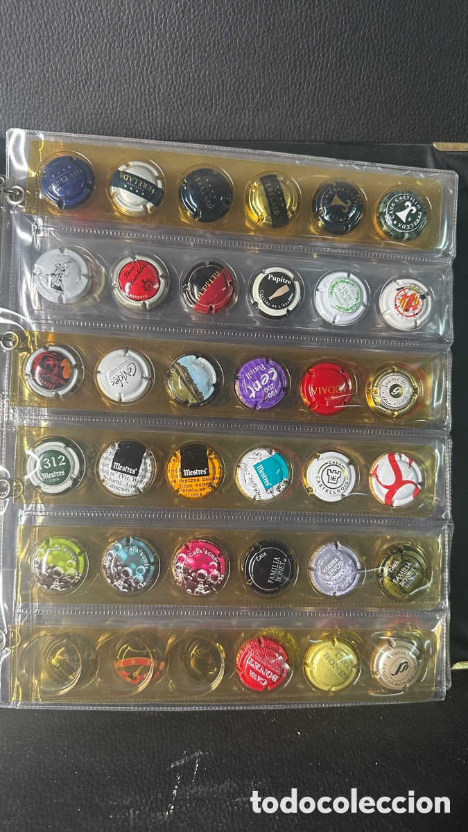Coleccionismo de cava: COLECCION DE PLACAS CHAPAS DE CAVA - Foto 3