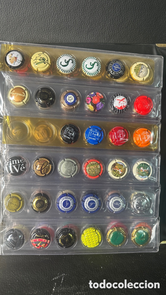 Coleccionismo de cava: COLECCION DE PLACAS CHAPAS DE CAVA - Foto 4