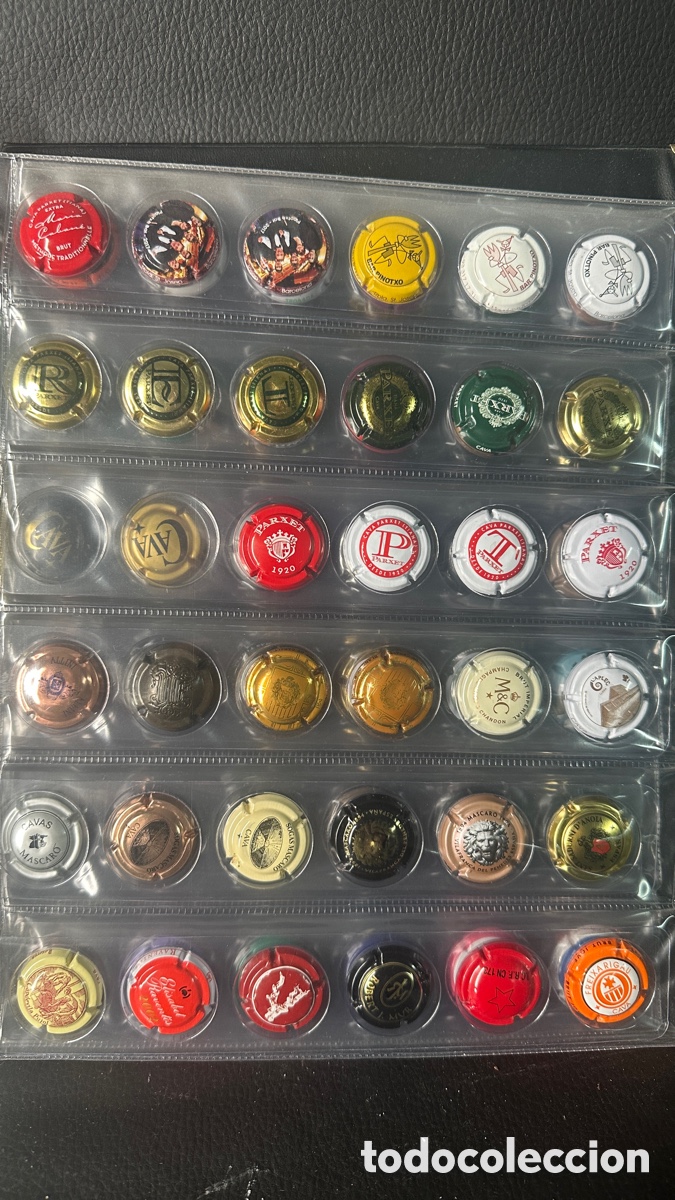 Coleccionismo de cava: COLECCION DE PLACAS CHAPAS DE CAVA - Foto 5
