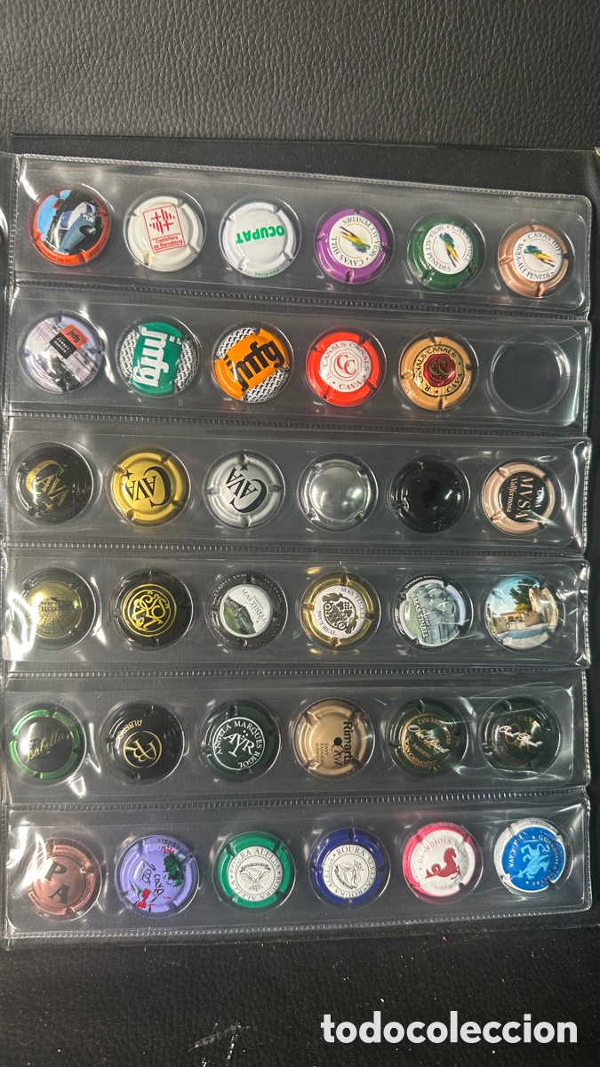 Coleccionismo de cava: COLECCION DE PLACAS CHAPAS DE CAVA - Foto 6