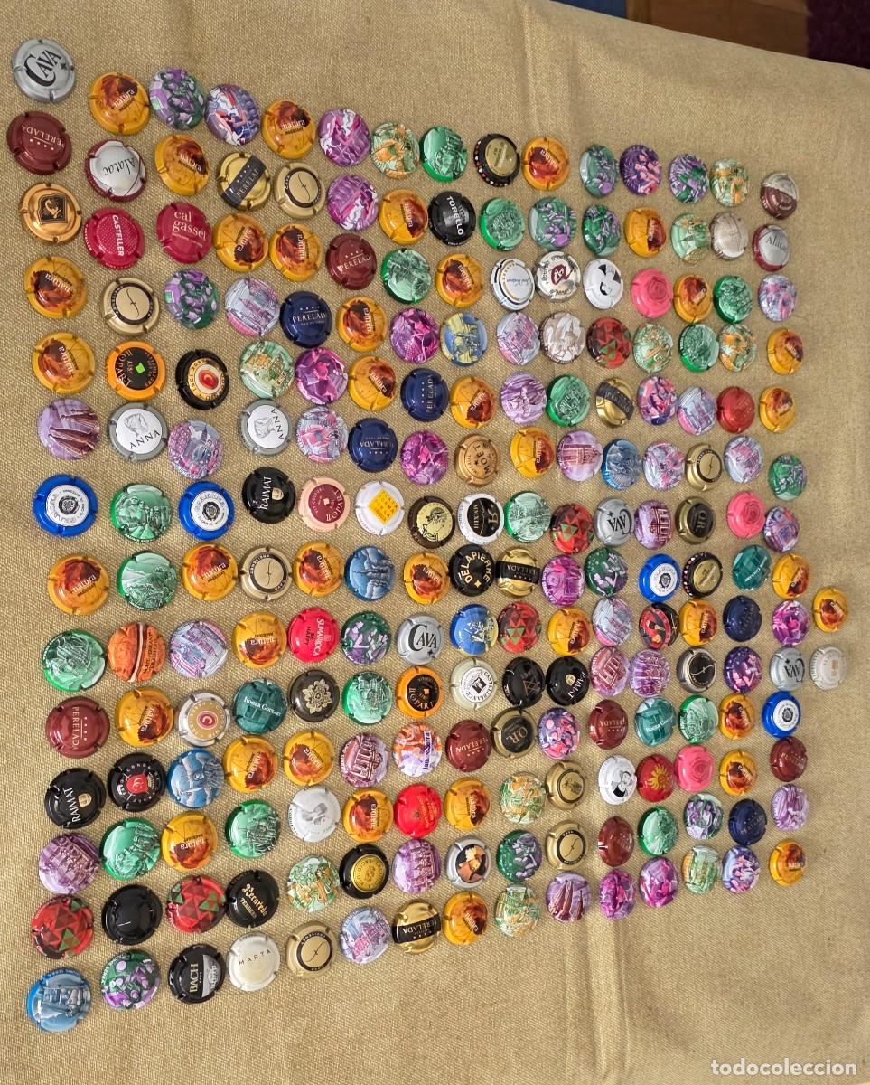 Coleccionismo de cava: LOTE DE PLACAS DE CAVA