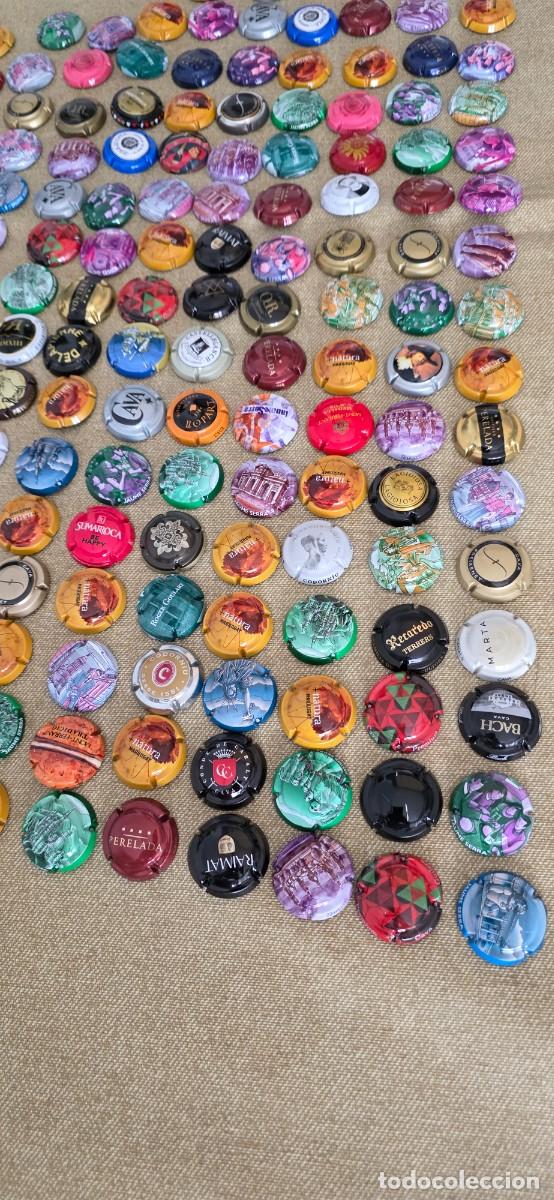 Coleccionismo de cava: LOTE DE PLACAS DE CAVA - Foto 2