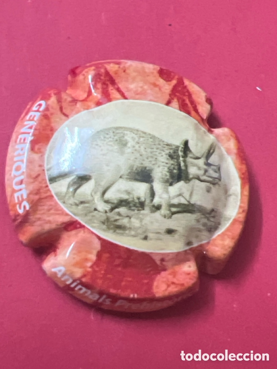 Coleccionismo de cava: T4/X121/L6. T4/X121/J1. PLACA DE CAVA - PLAQUES GENERIQUES - ANIMALS PREHISTORICS