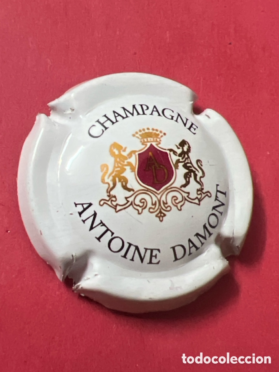 Coleccionismo de cava: T4/X121/M6. PLACA DE CHAMPAGNE - Extranjeras