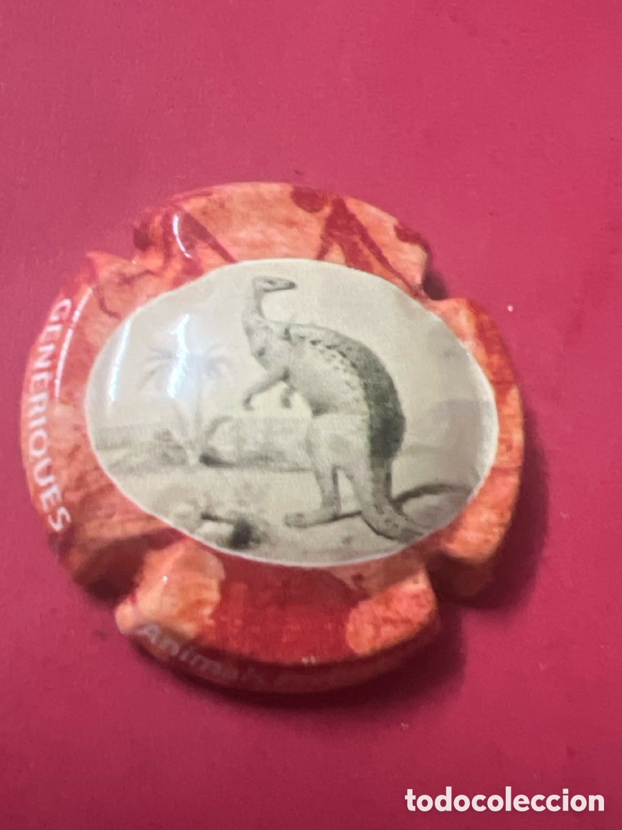 Coleccionismo de cava: T4/X139/M1. PLACA DE CAVA