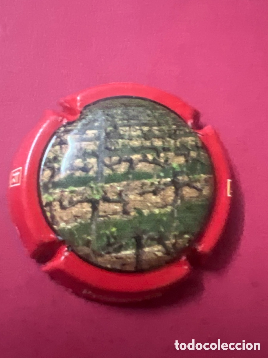 Coleccionismo de cava: T4/X139/O2. PLACA DE CAVA
