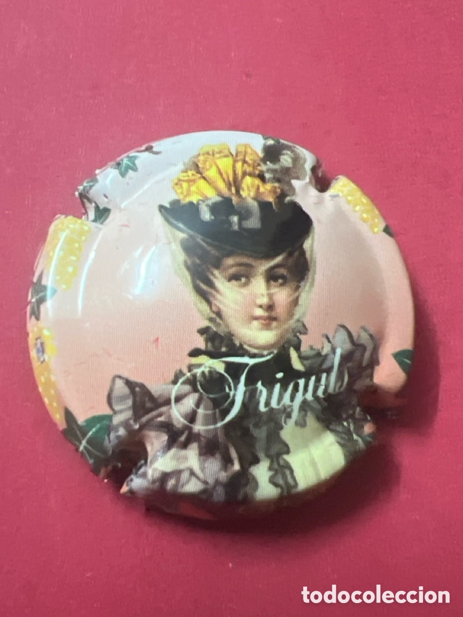 Coleccionismo de cava: T1/X134/D4. PLACA DE CAVA - FRIGULS