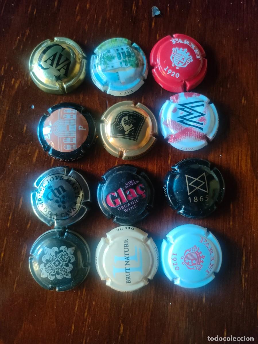 Collectionnisme de cava: CHAPAS CAVA DIFERENTES
