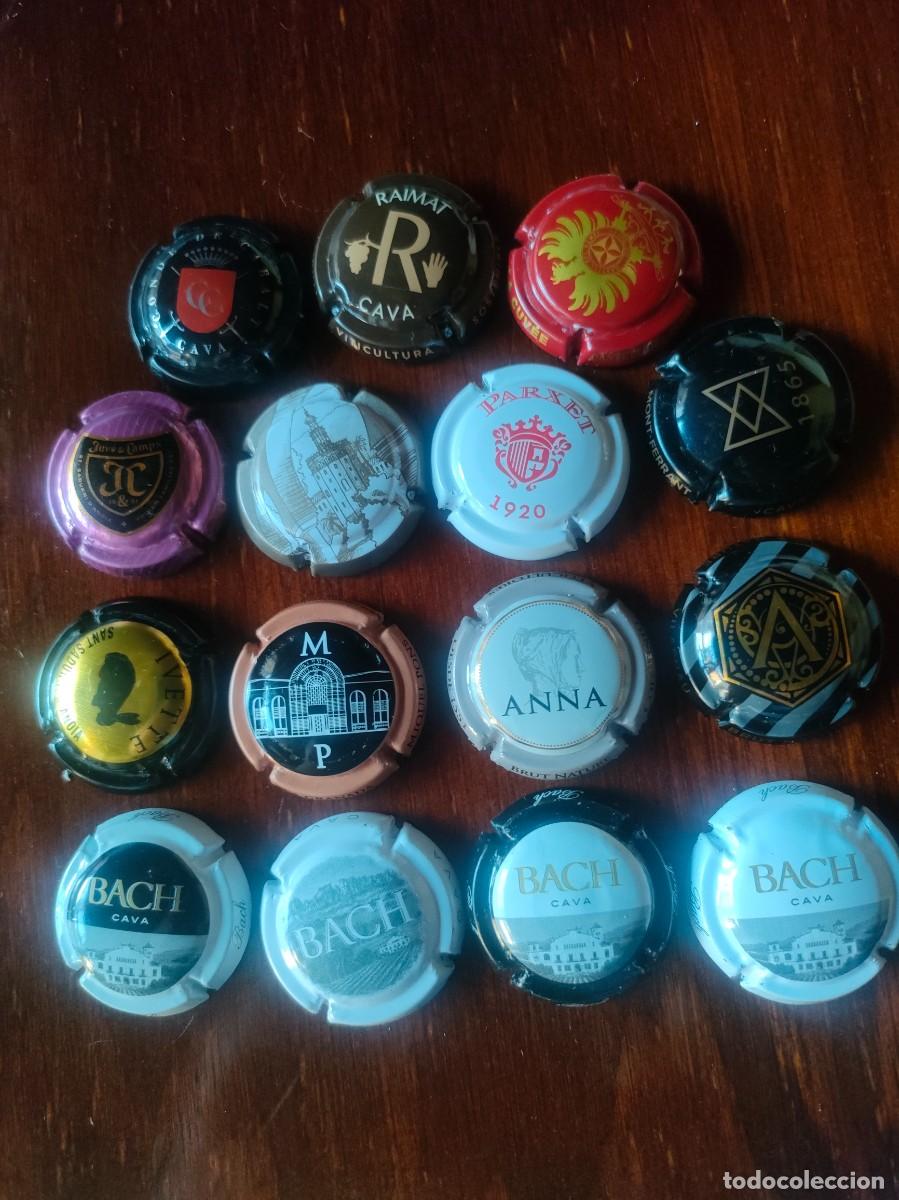 Collectionnisme de cava: CHAPAS CAVA DIFERENTES