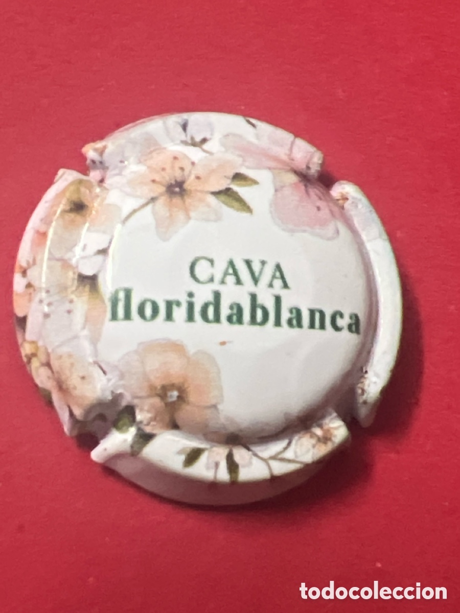 Collectionnisme de cava: Q586. Cavas Floridablanca C&oacute;digo: EFLA127116