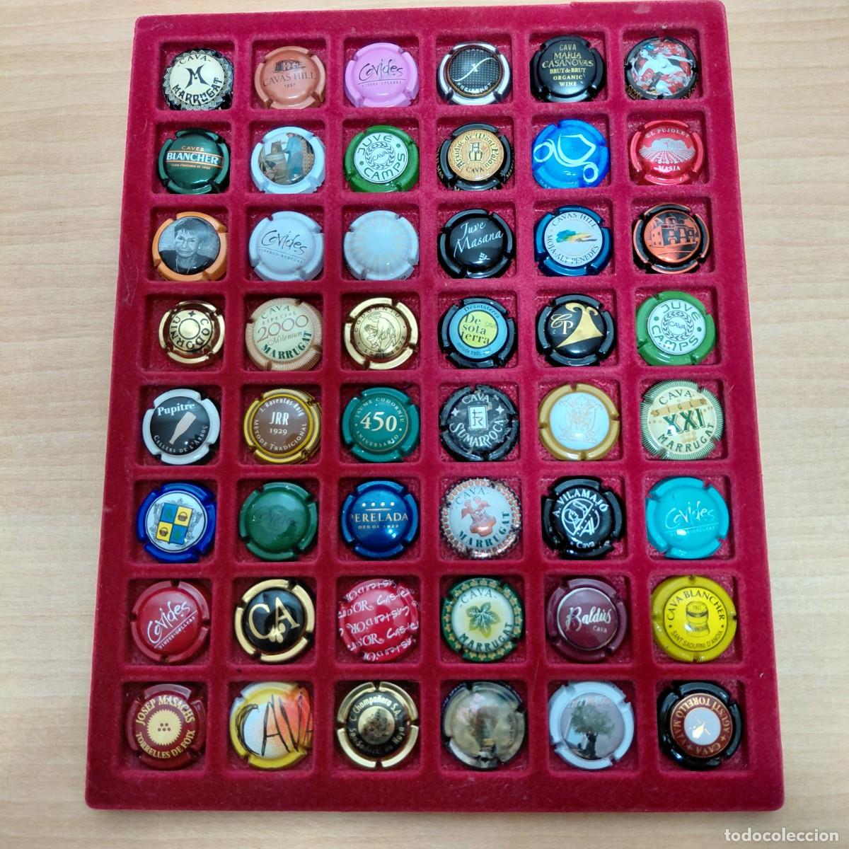 Coleccionismo de cava: CHAPAS CAVA / PLACAS - 48 DIFERENTES (2)