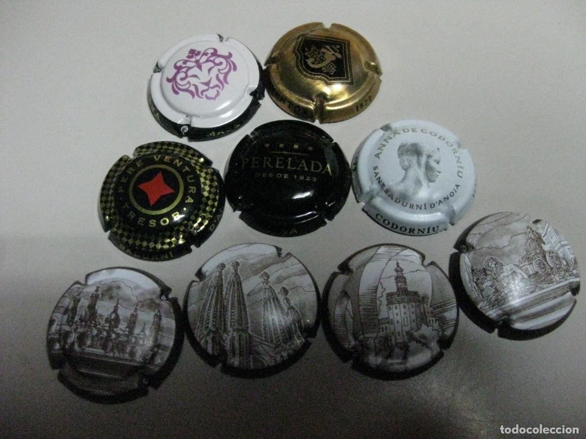 Coleccionismo de cava: PLACAS DE CAVA DIFERENTES - Foto 1