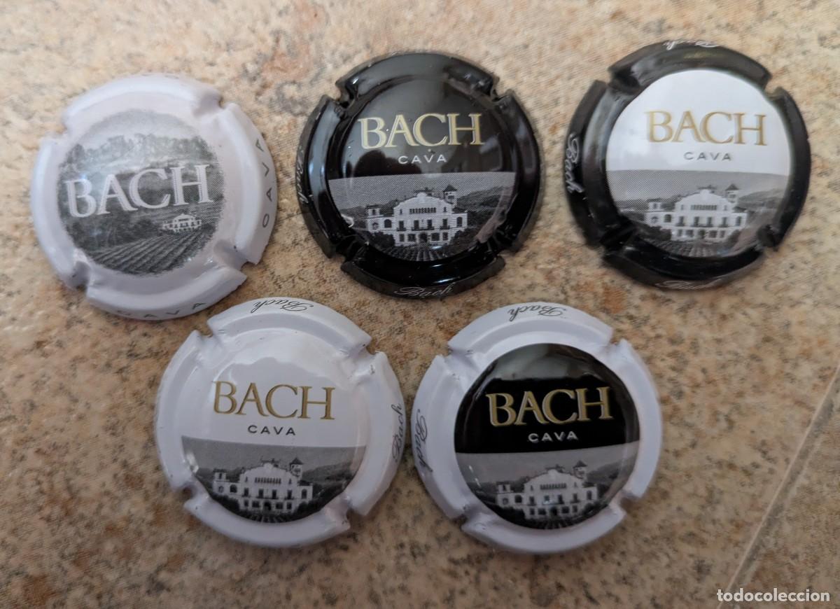 Coleccionismo de cava: Placas de Cava Bach del Pened&eacute;s