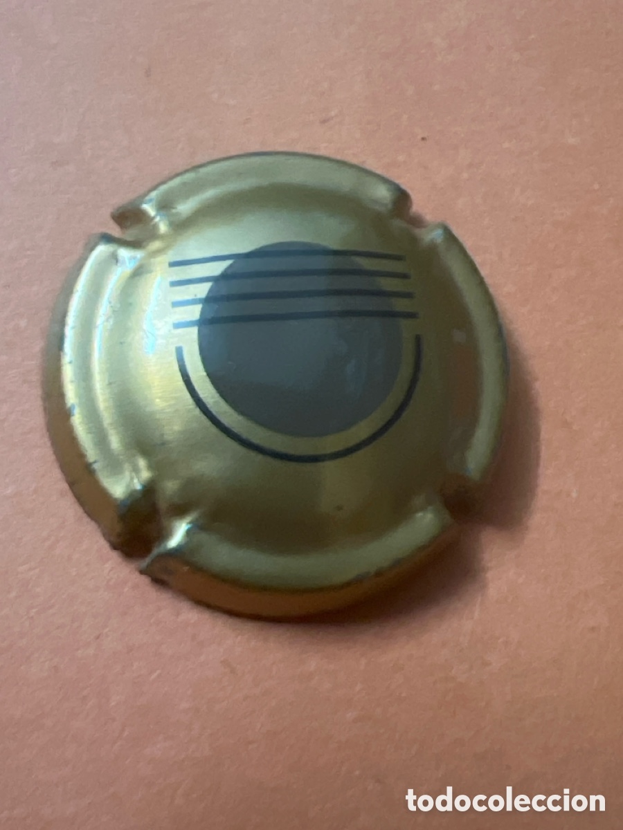 Coleccionismo de cava: T4/X157/B6. PLACA DE CHAMPAGNE