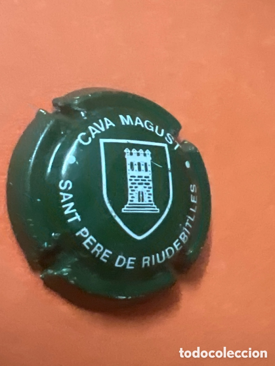 Coleccionismo de cava: T4/X157/H4. USADA - PLACA DE CAVA - MAGUST